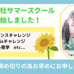2025年サマースクール申込開始！！！