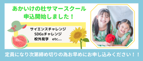 2025年サマースクール申込開始！！！